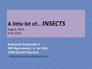 A little bit of… INSECTS
August, 2013.
(1rst. part)
Raimundo Sepúlveda V.
IPM-Agronomist, U. de Chile.
CHILE (South America)
rsepulvedamipp@gmail.com
 