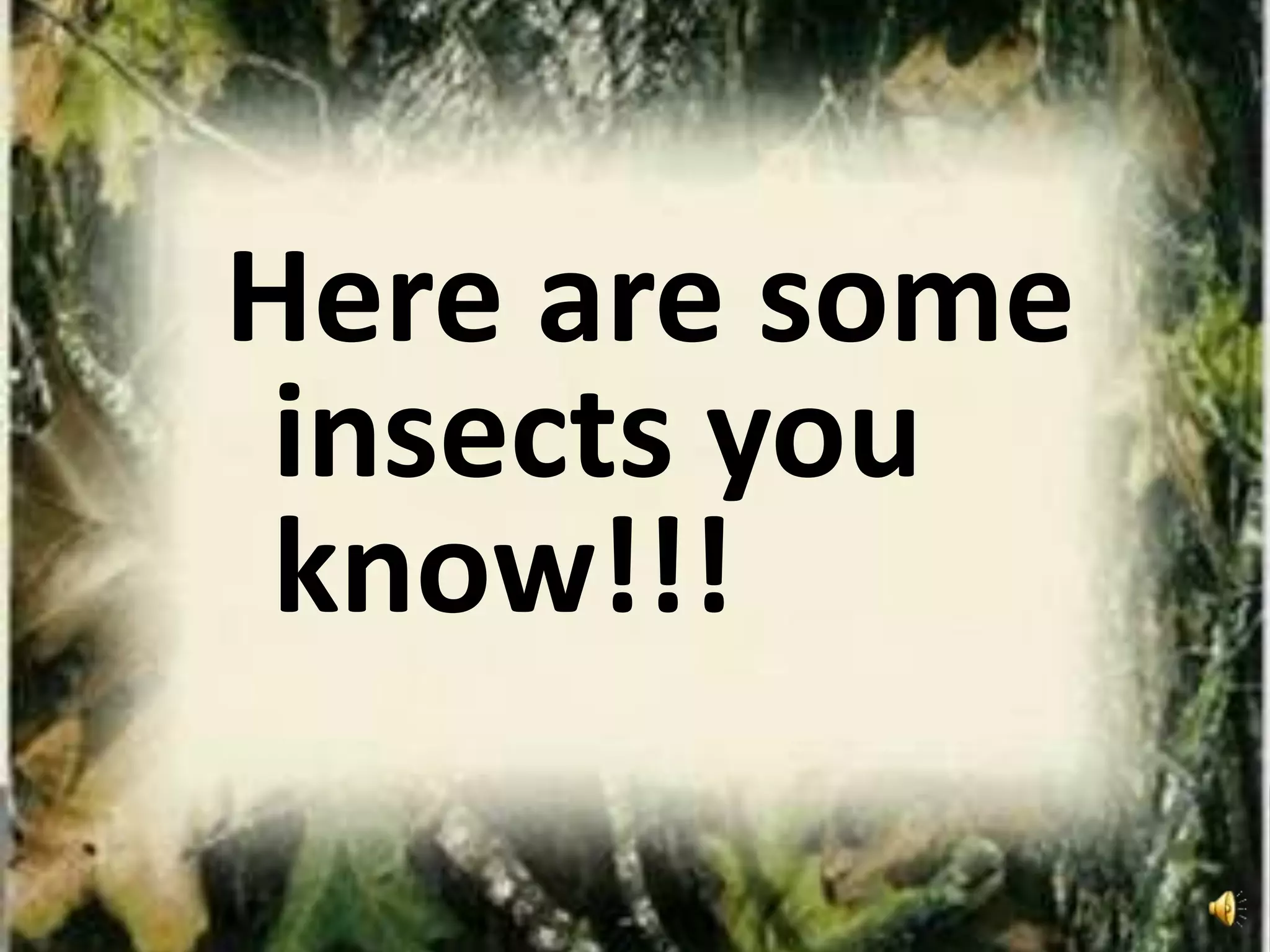 Here are some
insects you
know!!!