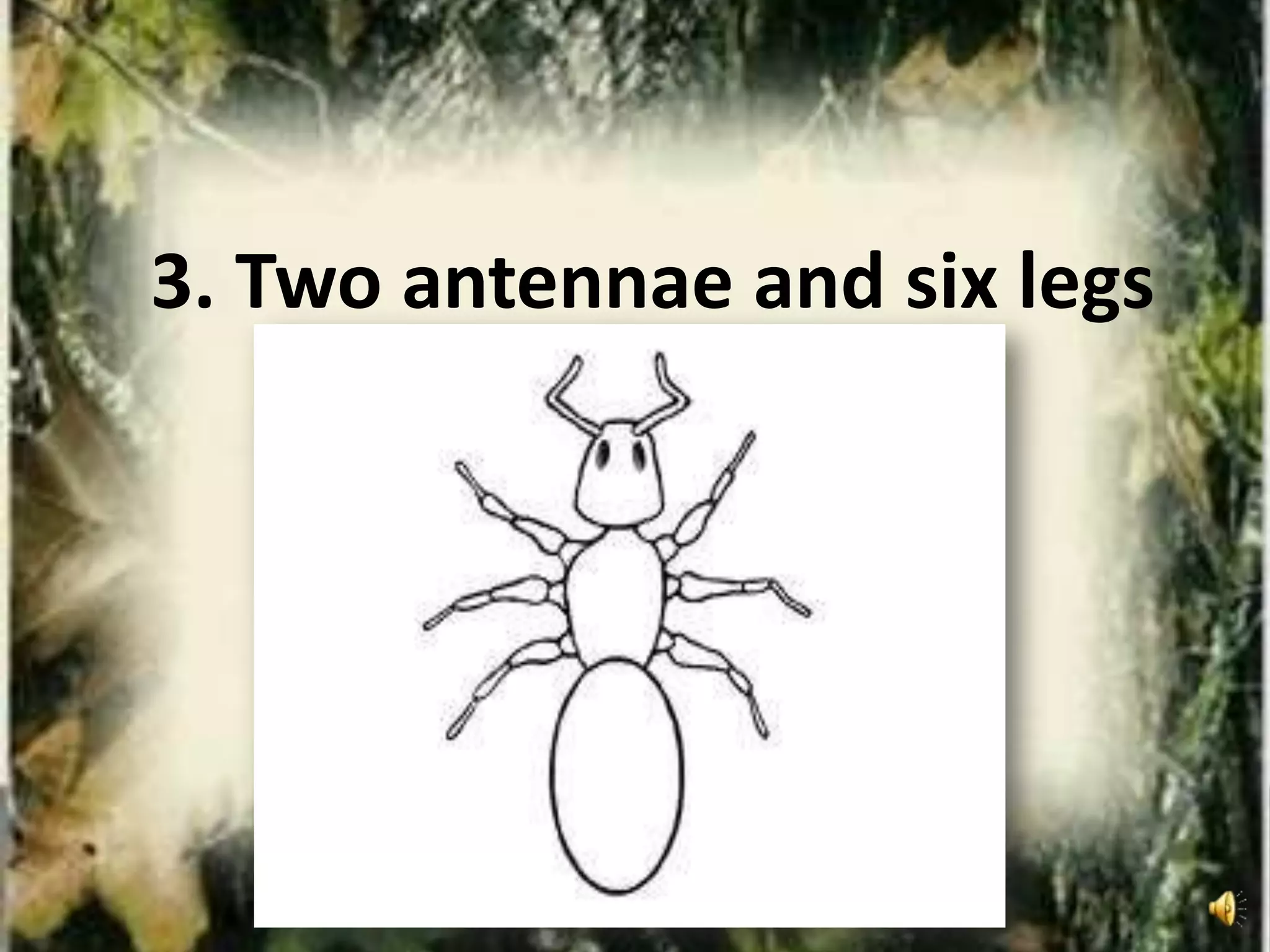 3. Two antennae and six legs