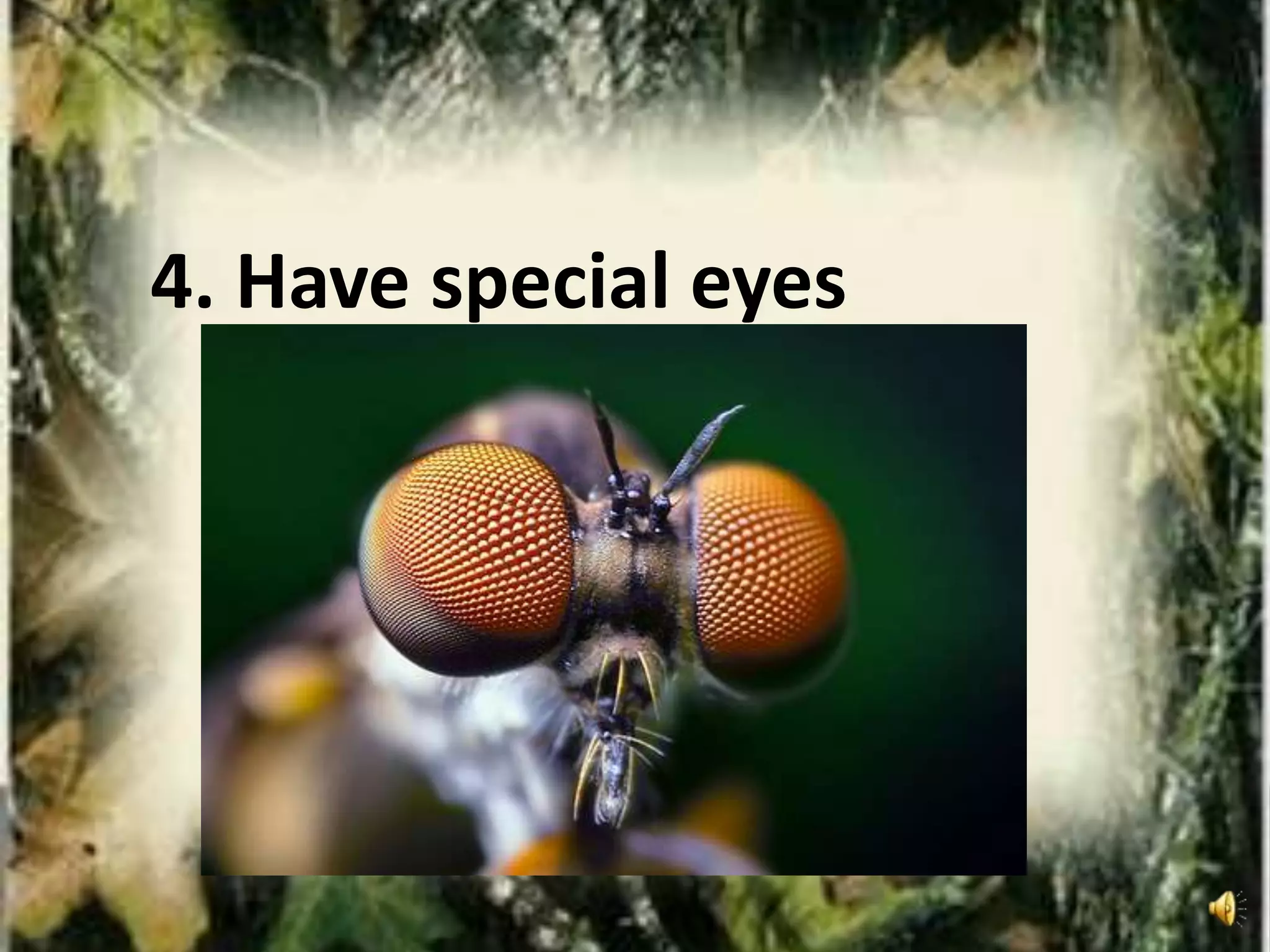 4. Have special eyes