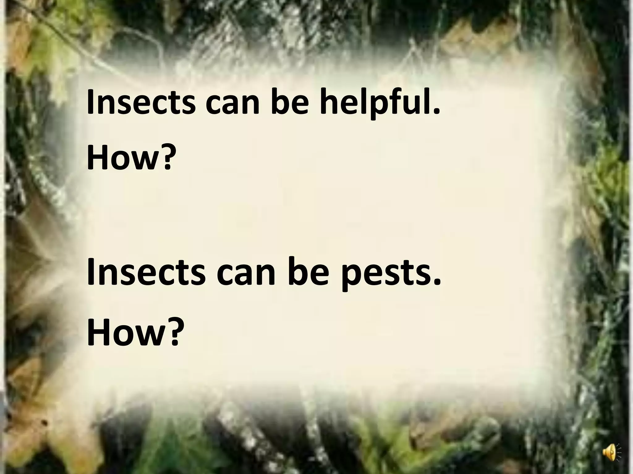 Insects can be helpful.
How?
Insects can be pests.
How?