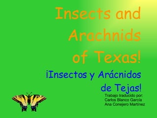 Insects and Arachnids of Texas! ¡Insectos y Arácnidos de Tejas! Trabajo traducido por: Carlos Blanco García Ana Conejero Martínez 