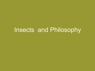 Insects and Philosophy

 