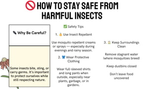 Especially Insect Worn insects and their life_20250716_071133_0000.pdf