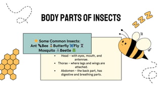 Back Attached Insect insects and their life_20250716_071133_0000.pdf
