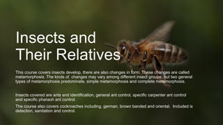 Insects and
Their Relatives
This course covers insects develop, there are also changes in form. These changes are called
m...