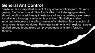 General Ant Control
Sanitation is an important aspect of any ant-control program. Crumbs,
grease, food scraps, and other f...