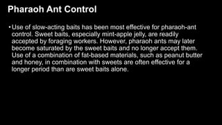 Pharaoh Ant Control
•Use of slow-acting baits has been most effective for pharaoh-ant
control. Sweet baits, especially min...