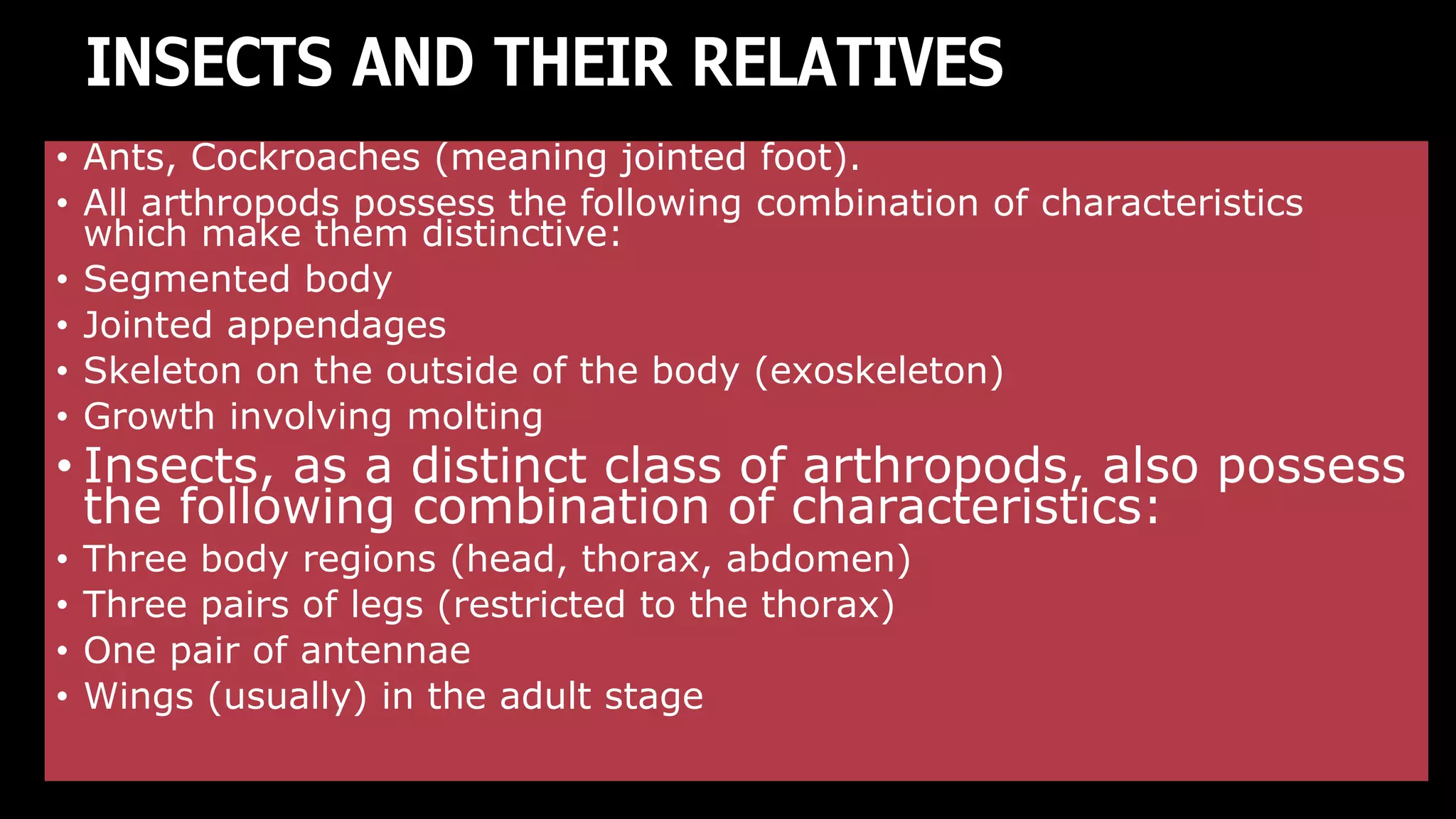 Insects and Their Relatives PDF.pdf