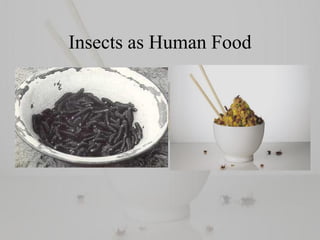 Insects as Human Food
 