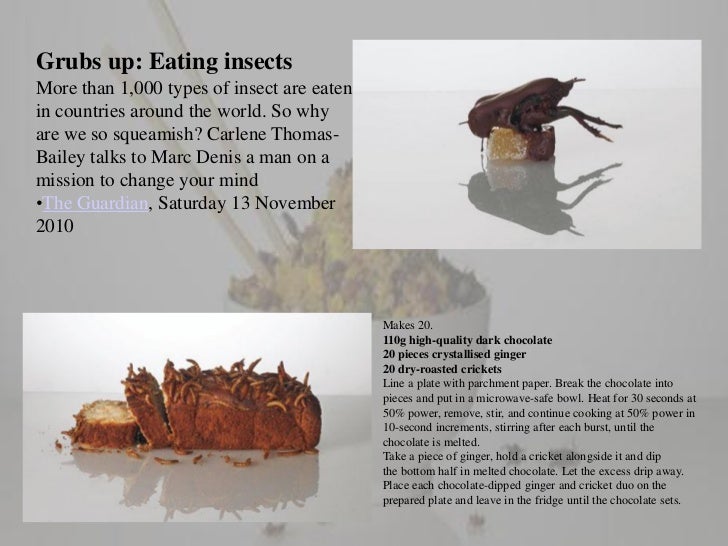Insects as human food