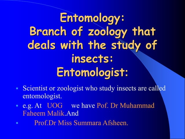 Insects Study Entomology Ppt