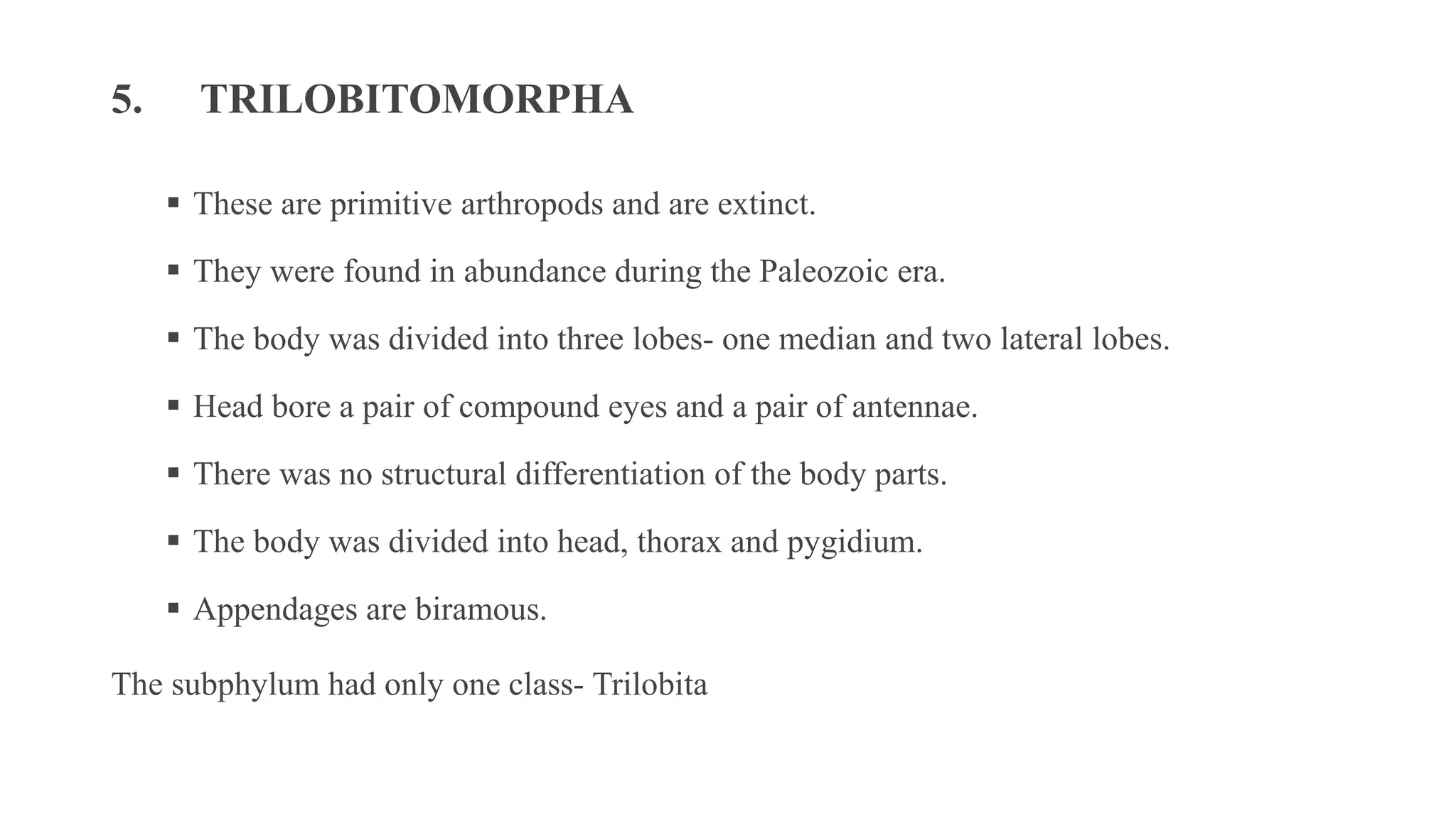 5. TRILOBITOMORPHA
▪ These are primitive arthropods and are extinct.
▪ They were found in abundance during the Paleozoic era.
▪ The body was divided into three lobes- one median and two lateral lobes.
▪ Head bore a pair of compound eyes and a pair of antennae.
▪ There was no structural differentiation of the body parts.
▪ The body was divided into head, thorax and pygidium.
▪ Appendages are biramous.
The subphylum had only one class- Trilobita
 