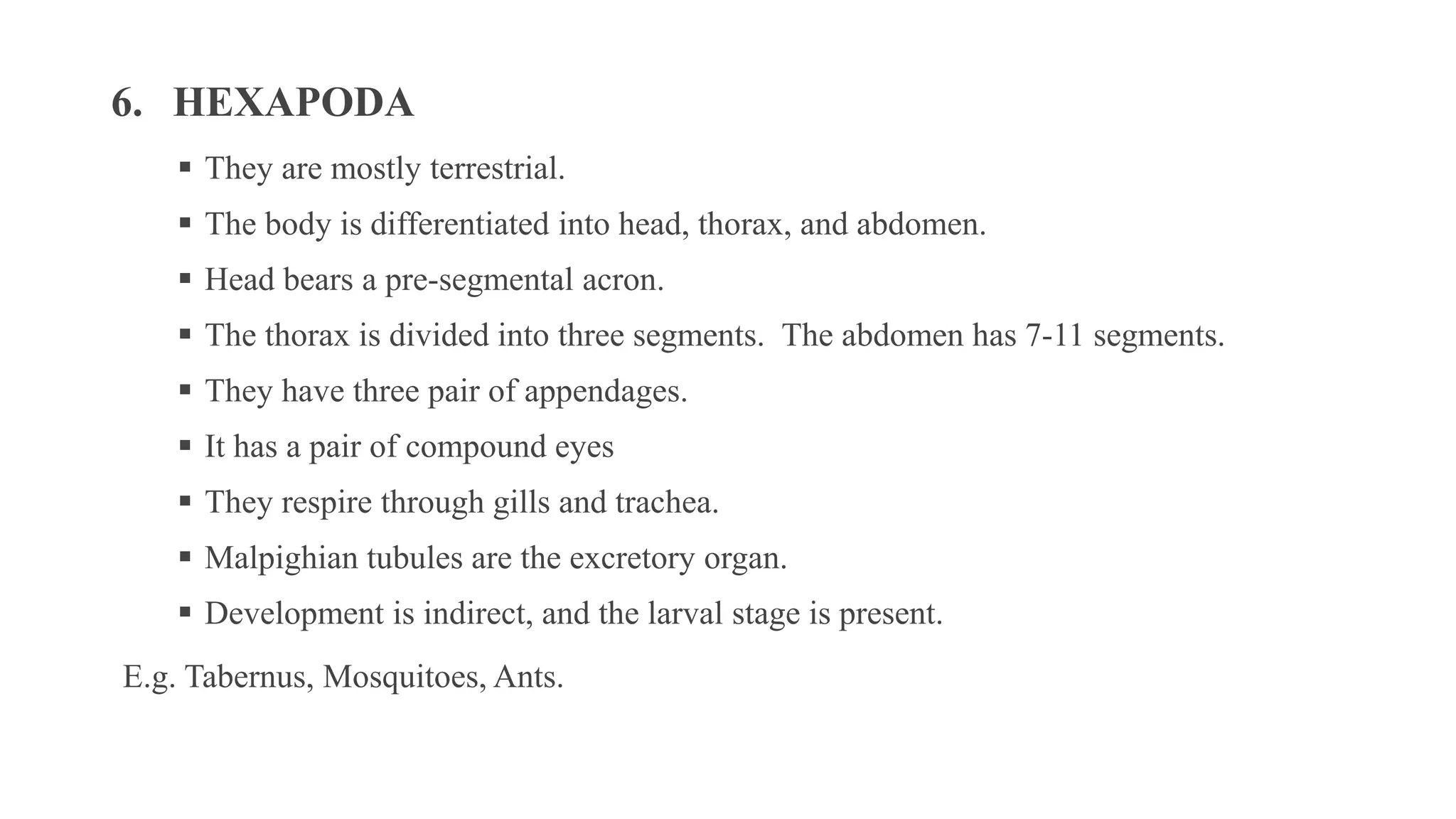 6. HEXAPODA
▪ They are mostly terrestrial.
▪ The body is differentiated into head, thorax, and abdomen.
▪ Head bears a pre-segmental acron.
▪ The thorax is divided into three segments. The abdomen has 7-11 segments.
▪ They have three pair of appendages.
▪ It has a pair of compound eyes
▪ They respire through gills and trachea.
▪ Malpighian tubules are the excretory organ.
▪ Development is indirect, and the larval stage is present.
E.g. Tabernus, Mosquitoes, Ants.
 