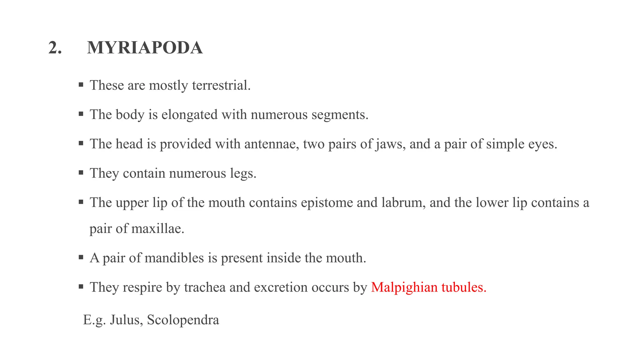 2. MYRIAPODA
▪ These are mostly terrestrial.
▪ The body is elongated with numerous segments.
▪ The head is provided with antennae, two pairs of jaws, and a pair of simple eyes.
▪ They contain numerous legs.
▪ The upper lip of the mouth contains epistome and labrum, and the lower lip contains a
pair of maxillae.
▪ A pair of mandibles is present inside the mouth.
▪ They respire by trachea and excretion occurs by Malpighian tubules.
E.g. Julus, Scolopendra
 