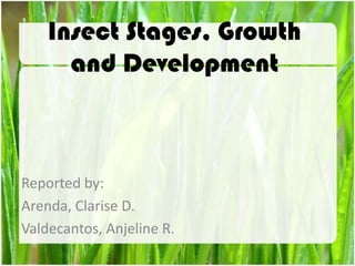 Insect Stages, Growth
and Development
Reported by:
Arenda, Clarise D.
Valdecantos, Anjeline R.
 