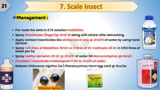 INSECTS, DISEASES & WEEDS OF SUGARCANE: IDENTIFICATION AND MANAGEMENT | PDF
