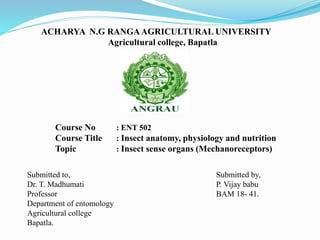 ACHARYA N.G RANGAAGRICULTURAL UNIVERSITY
Agricultural college, Bapatla
Course No : ENT 502
Course Title : Insect anatomy, physiology and nutrition
Topic : Insect sense organs (Mechanoreceptors)
Submitted to,
Dr. T. Madhumati
Professor
Department of entomology
Agricultural college
Bapatla.
Submitted by,
P. Vijay babu
BAM 18- 41.
 