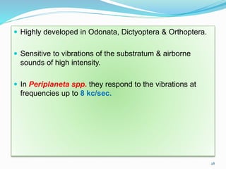 Oscillators Insect Insect sense organs | PPTX