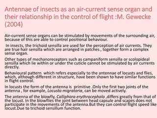 Antennae of insects as an air-current sense organ and
their relationship in the control of flight :M. Gewecke
(2004)
Air-current sense organs can be stimulated by movements of the surrounding air,
because of this are able to control positional behaviour.
In insects, the trichoid sensilla are used for the perception of air currents. They
are true hair sensilla which are arranged in patches , together form a complex
sense organ.
Other types of mechanoreceptors such as campaniform sensilla or scolopideal
sensilla which lie within or under the cuticle cannot be stimulated by air currents
directly.
Behavioural pattern which refers especially to the antennae of locusts and flies,
which, although different in structure, have been shown to have similar functions
in flight control.
In locusts the form of the antenna is primitive .Only the first two joints of the
antenna , for example, Locusta migratoria, can be moved actively.
The antenna of the blowfly, Calliphora erythrocephala ,differs greatly from that of
the locust. In the blowflies the joint between head capsule and scapes does not
participate in the movements of the antenna.But they can control flight speed like
locust.Due to trichoid sensillum function.
 