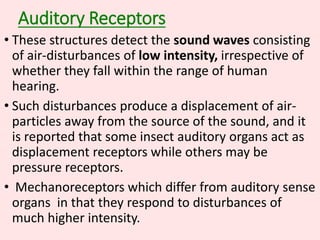 Auditory Receptors
• These structures detect the sound waves consisting
of air-disturbances of low intensity, irrespective of
whether they fall within the range of human
hearing.
• Such disturbances produce a displacement of air-
particles away from the source of the sound, and it
is reported that some insect auditory organs act as
displacement receptors while others may be
pressure receptors.
• Mechanoreceptors which differ from auditory sense
organs in that they respond to disturbances of
much higher intensity.
 