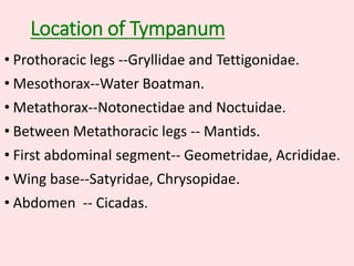 Location of Tympanum
• Prothoracic legs --Gryllidae and Tettigonidae.
• Mesothorax--Water Boatman.
• Metathorax--Notonectidae and Noctuidae.
• Between Metathoracic legs -- Mantids.
• First abdominal segment-- Geometridae, Acrididae.
• Wing base--Satyridae, Chrysopidae.
• Abdomen -- Cicadas.
 