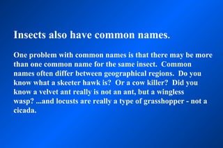 Insects also have common names.
One problem with common names is that there may be more
than one common name for the same insect. Common
names often differ between geographical regions. Do you
know what a skeeter hawk is? Or a cow killer? Did you
know a velvet ant really is not an ant, but a wingless
wasp? ...and locusts are really a type of grasshopper - not a
cicada.
 