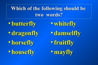 Which of the following should be
          two words?
• butterfly     • whitefly
• dragonfly     • damselfly
• horsefly      • fruitfly
• housefly      • mayfly
 
