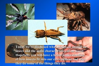 Today we've discussed what makes an animal an
insect and the main characteristics of an insect.
Hopefully you will have a better understanding
of how insects fit into our environment and whyClark
                                            Jack Kelly
they do some of the things they do.
 