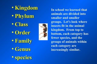 • Kingdom   In school we learned that
            animals are divided into
• Phylum    smaller and smaller
            groups. Let's look where
• Class     insects fit in the animal
            kingdom. From top to
• Order     bottom, each category has
            fewer species, and the
• Family    groups of animals within
            each category are
• Genus     increasingly similar.

• species
 