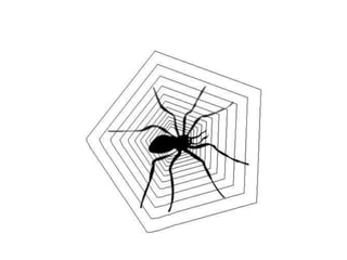 Insects & small animals