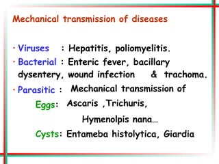 Mechanical transmission of diseases
• Viruses : Hepatitis, poliomyelitis.
• Bacterial : Enteric fever, bacillary
dysentery, wound infection & trachoma.
• Parasitic :
Eggs:
Mechanical transmission of
Ascaris ,Trichuris,
Hymenolpis nana…
Cysts: Entameba histolytica, Giardia
 