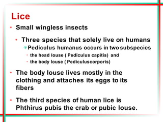 Lice
• Small wingless insects
• Three species that solely live on humans
◈Pediculus humanus occurs in two subspecies
the head louse ( Pediculus capitis) and
the body louse ( Pediculuscorporis)
• The body louse lives mostly in the
clothing and attaches its eggs to its
fibers
• The third species of human lice is
Phthirus pubis the crab or pubic louse.
 