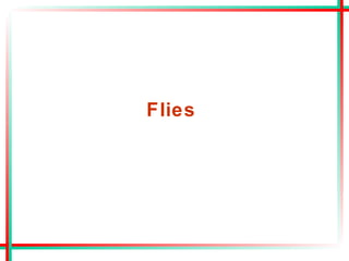 Flies
 