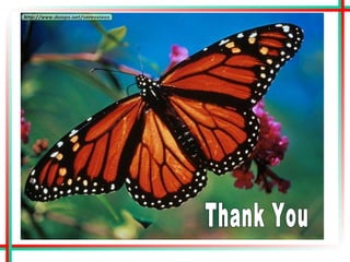 insectsofpublichealthimportance-121006021342-phpapp02.pptx