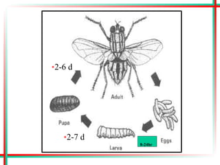 •2-6 d
•2-7 d
8-24hr
 