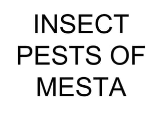 INSECT
PESTS OF
MESTA
 