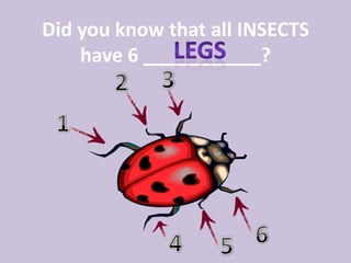 Did you know that all INSECTS
    have 6 ___________?
 