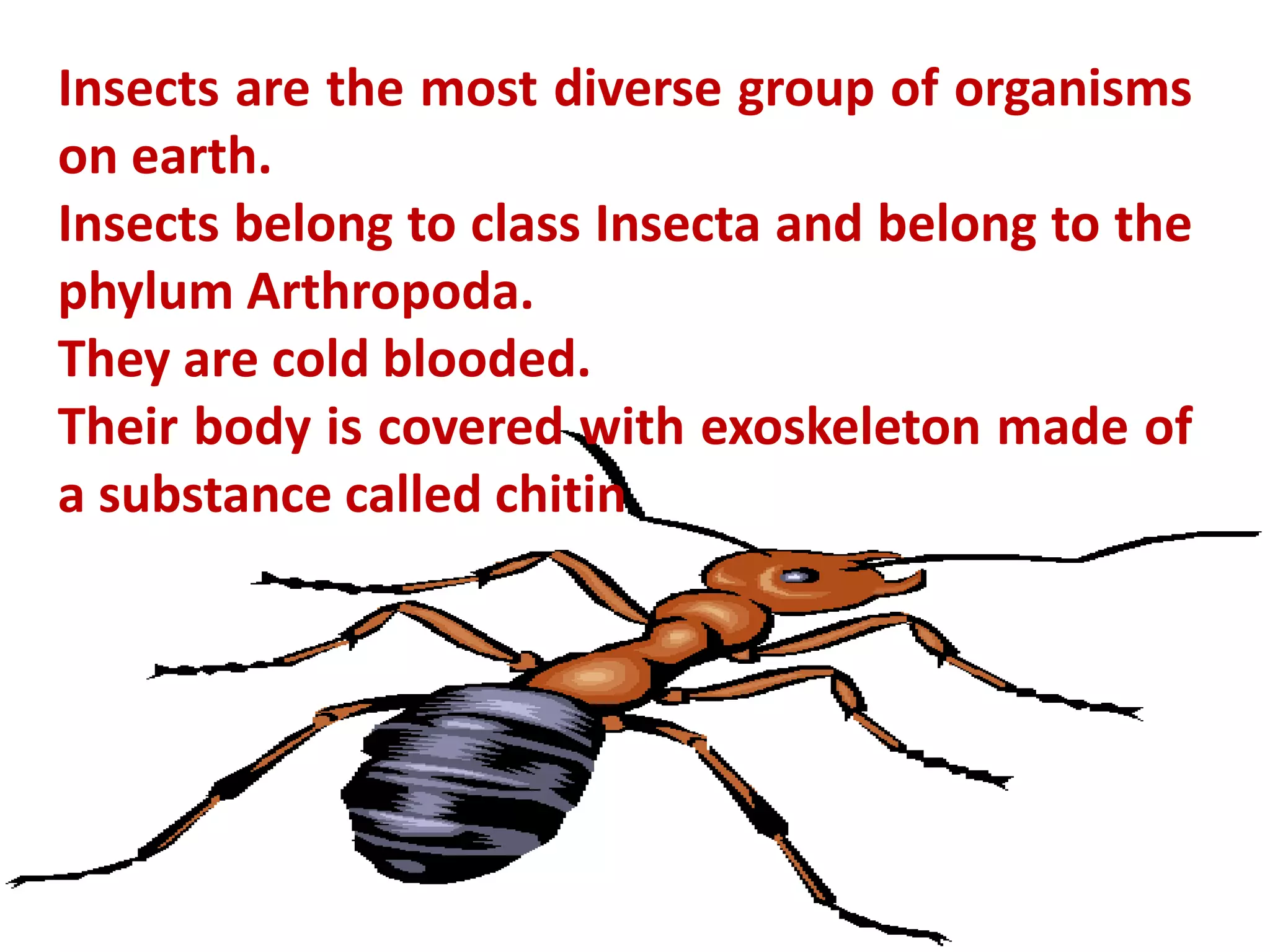 Insect Inspired technology | PPTX