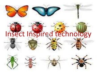Insect Inspired technology
 