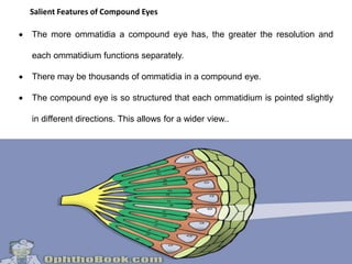 Insect Inspired technology | PPTX