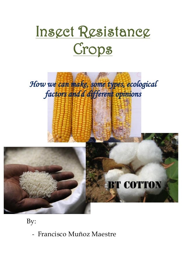 Insects resistance crops