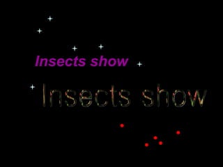 Insects show   Insects show  