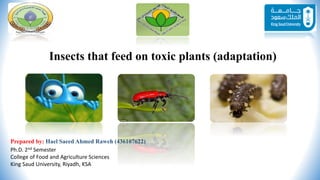 Insects that feed on toxic plants (adaptation)
Prepared by: Hael Saeed Ahmed Raweh (436107622)
Ph.D. 2nd Semester
College of Food and Agriculture Sciences
King Saud University, Riyadh, KSA
 