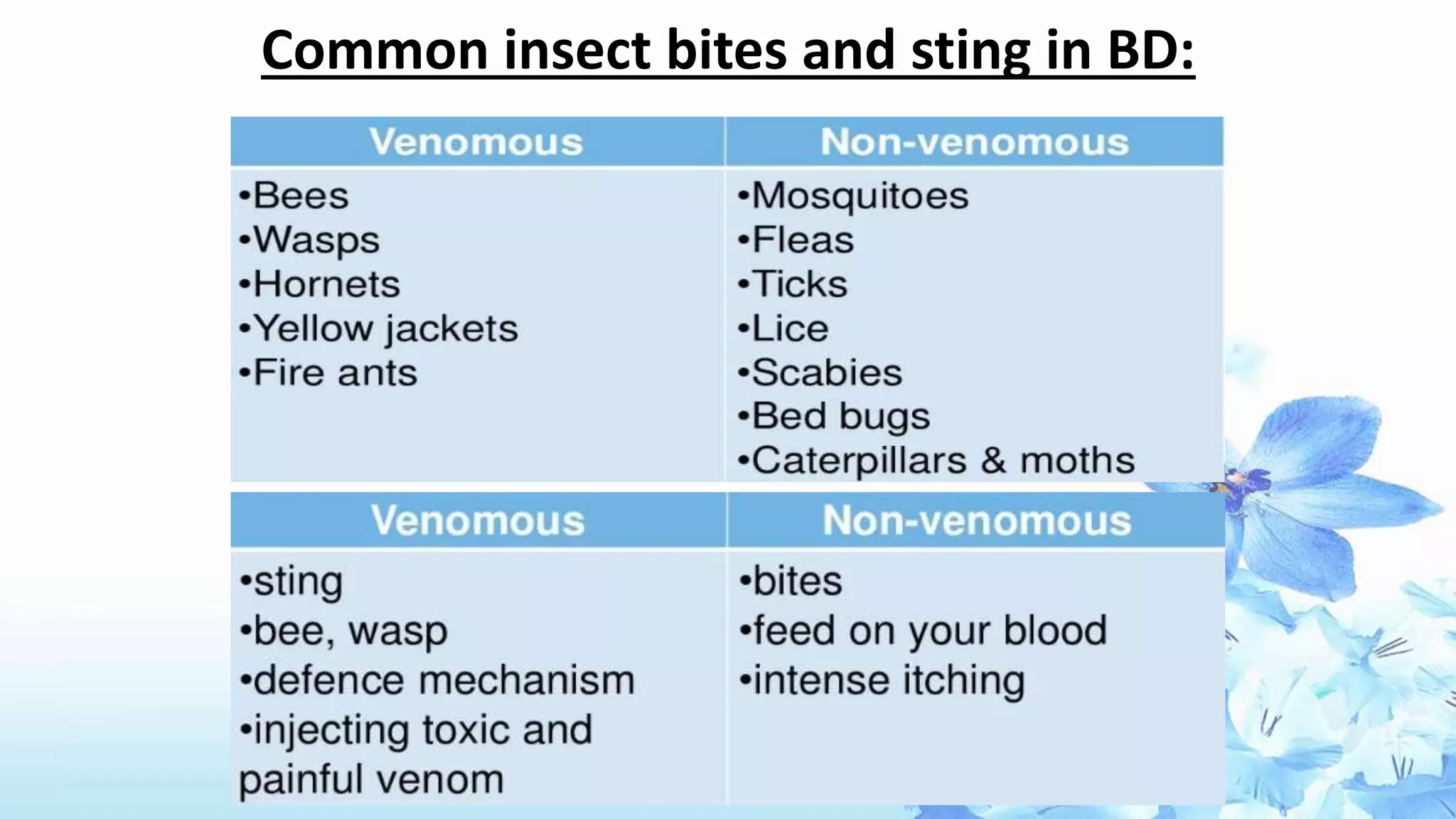 Insect Sting and bite management.pptx