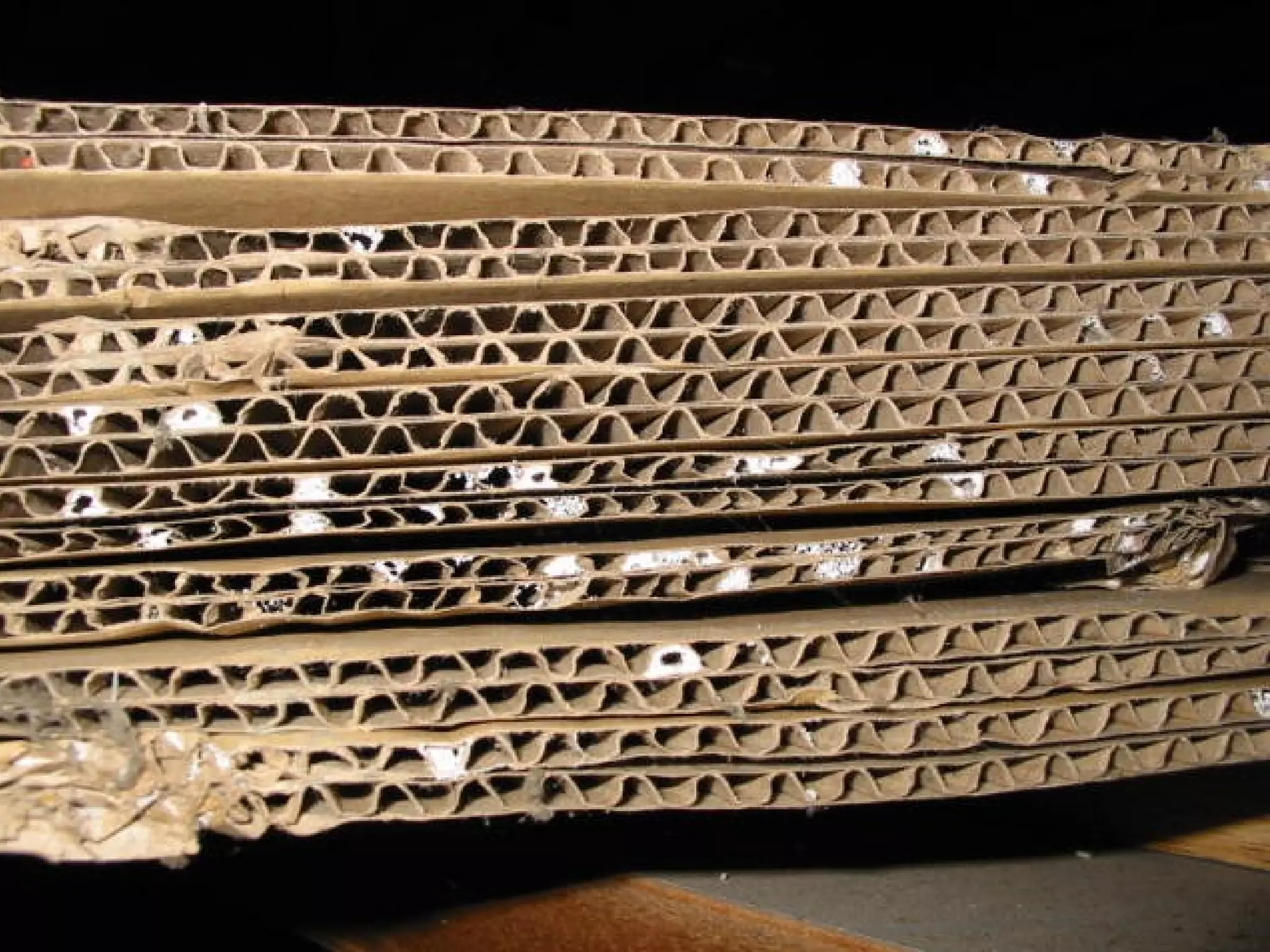 Insects [training] | PPT