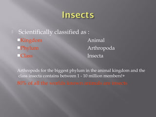 Insects [training] | PPT