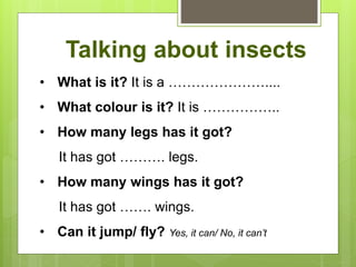 Talking about insects
• What is it? It is a …………………....
• What colour is it? It is ……………..
• How many legs has it got?
It has got ………. legs.
• How many wings has it got?
It has got ……. wings.
• Can it jump/ fly? Yes, it can/ No, it can’t
 