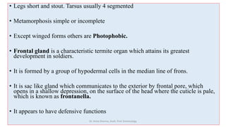 insect taxonomy presentation for B.Sc. agriculture | PPTX
