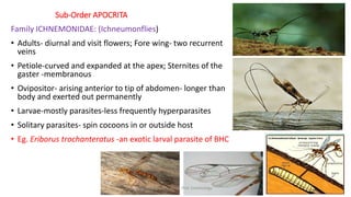 insect taxonomy presentation for B.Sc. agriculture | PPTX